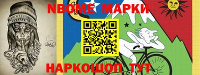 индика Гатчина