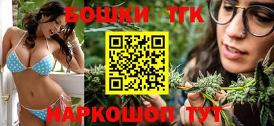 индика Гатчина