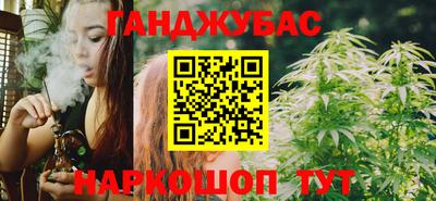 индика Гатчина