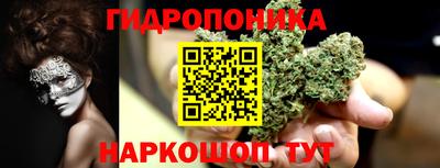 бошки Гай