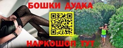 индика Гатчина