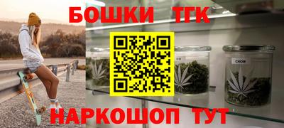 индика Гатчина
