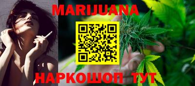 индика Гатчина