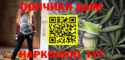 индика Гатчина