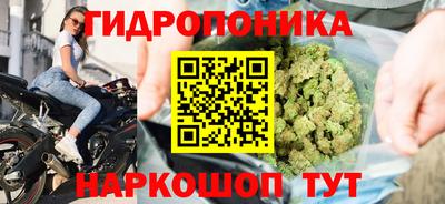 ПСИЛОЦИБИНОВЫЕ ГРИБЫ Гусев