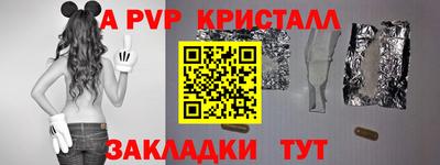 индика Гатчина